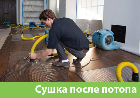 Сушка после потопа в городе Нефтекамск