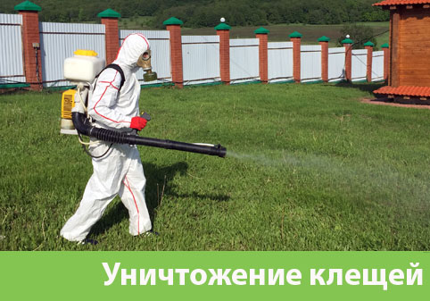 Уничтожение клещей в городе Нефтекамск